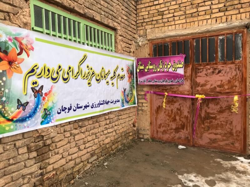 800 نفر در صندوقهای خرد زنان قوچان عضویت دارند