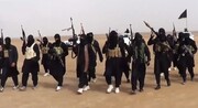 المانیتور: داعش با بهره‌گیری از بحران کرونا درصدد بازگشت به عراق است