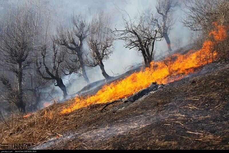 مهار آتش در دو نقطه از جنگل های تنیان صومعه سرا
