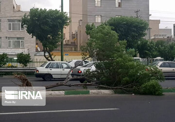 تندبادی با سرعت ۶۹ کیلومتر برساعت  شاهین‌دژ را درنوردید 