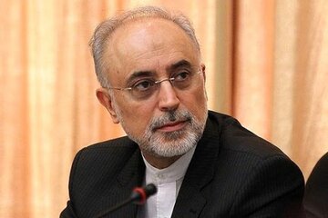 صالحی: گام چهارم کاهش تعهدات برجام کاملا اجرا شده است