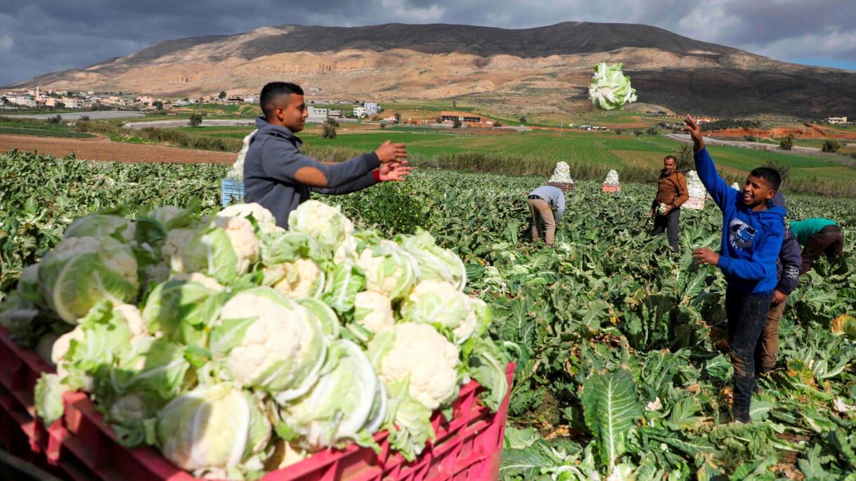 رژیم صهیونیستی صادرات محصولات فلسطینی را ممنوع می‌کند