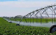 کاهش مصرف آب در کشاورزی قم با روش‌های نوین آبیاری دنبال می‌شود