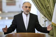 صالحی: ایران در صیانت از امنیت خود کوتاهی نخواهد کرد
