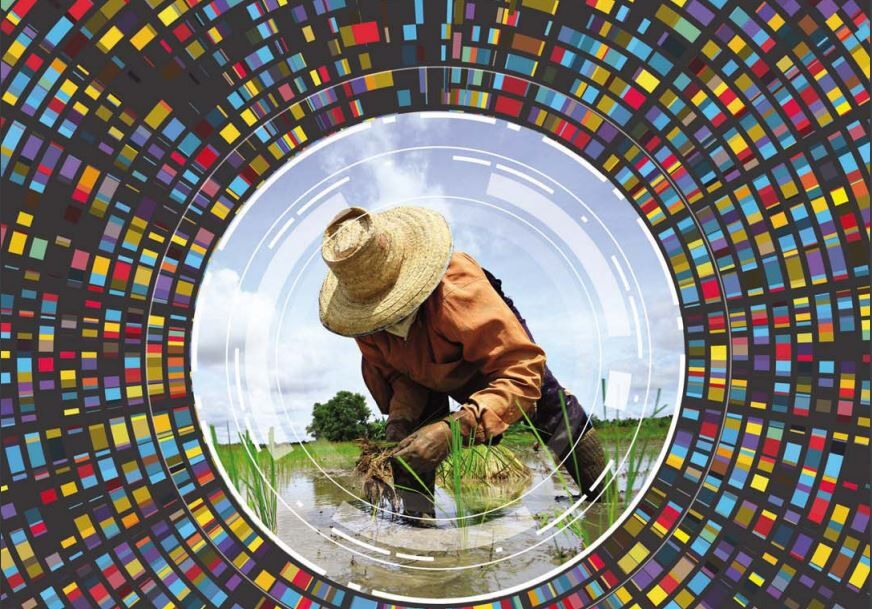 FAO: Asia-Pacific region requires more data to assure progress in agricultural systems
