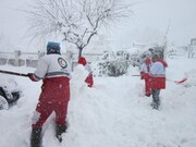 واعظی: دولت وضع استان‌های گرفتار برف‌ و سرما را به دقت پیگیری می‌کند