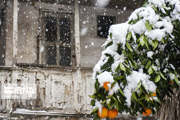 Snowy days in northern Iran