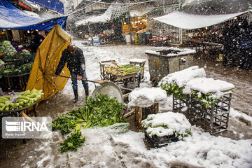 Snowy days in northern Iran