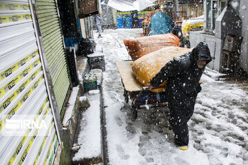 Snowy days in northern Iran