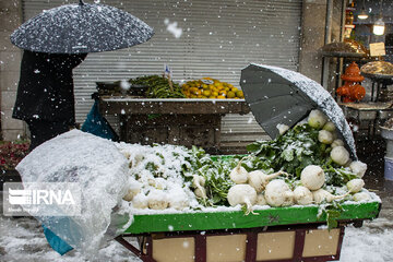 Snowy days in northern Iran