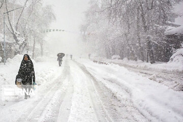 Snowy days in northern Iran