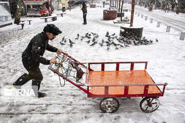 Snowy days in northern Iran