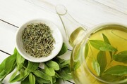 درمان کبد چرب با عصاره چای سبز و ورزش