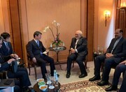 Iran, Japan examine regional developments 
