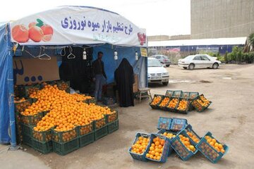 توزیع میوه عید نوروز در همدان آغاز شد 