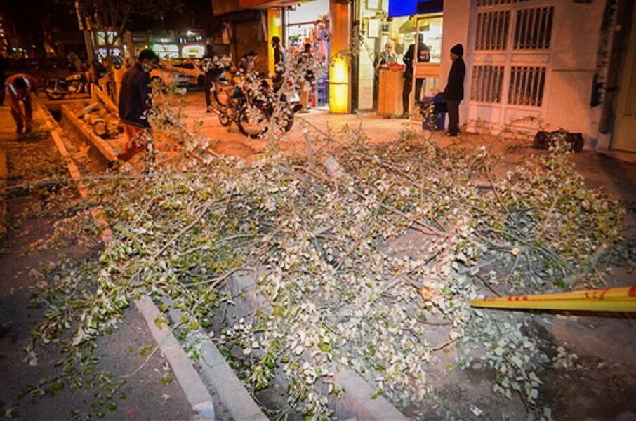 ۴۸ حادثه مرتبط با وزش باد در مشهد رخ داد