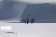 Snowy Beautiful Kouhrang on slope of Zagros Mount