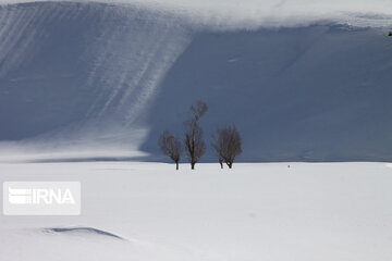 Snowy Kouhrang on slope of Zagros Mount: Beautiful with splendid weather