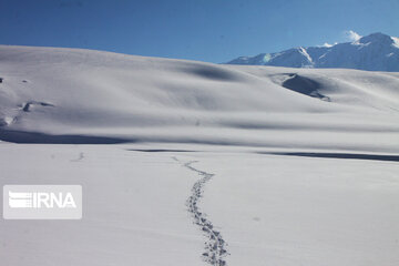 Snowy Kouhrang on slope of Zagros Mount: Beautiful with splendid weather