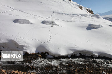 Snowy Kouhrang on slope of Zagros Mount: Beautiful with splendid weather