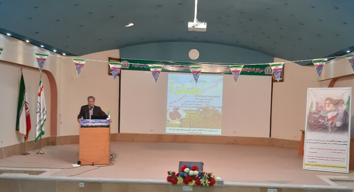 کلزا در خوزستان و گلستان رقیب جدی دارد