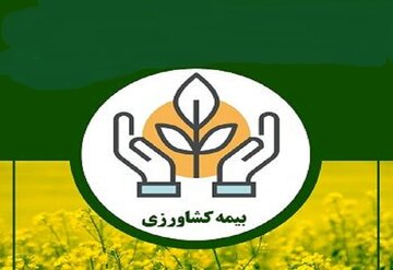 صدور ۵۳ هزار بیمه‌نامه برای کشاورزان و دامداران خراسان رضوی