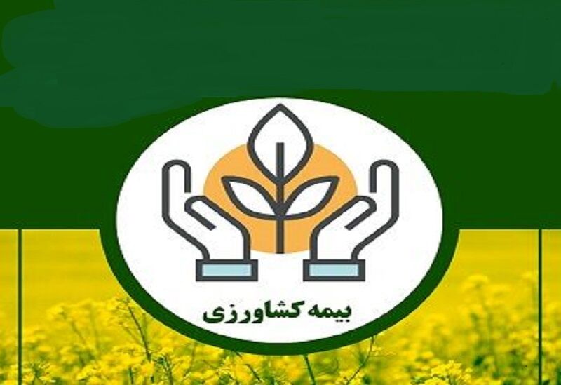 صدور ۵۳ هزار بیمه‌نامه برای کشاورزان و دامداران خراسان رضوی