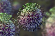 موج مرگبار آنفلوانزا در آمریکا