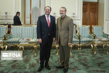 Iranian Parliament Speaker meets Austrian FM