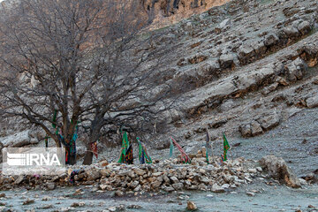 Makhmal Kooh in Iran's Lorestan Prov.