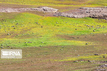 Makhmal Kooh in Iran's Lorestan Prov.