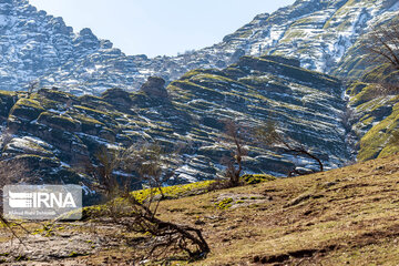 Makhmal Kooh in Iran's Lorestan Prov.