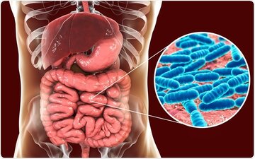 پیش بینی خطر ابتلا به فشار خون ریوی از روی باکترهای روده