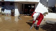 سیلاب به ۱۲۰ واحد مسکونی استان همدان خسارت زد