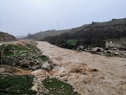 سیلابی شدن مسیل ها و طغیان رودخانه ها در راه ایلام