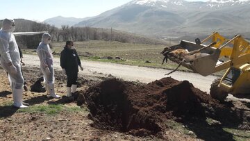 خسارات سیل به دامداران دلفان