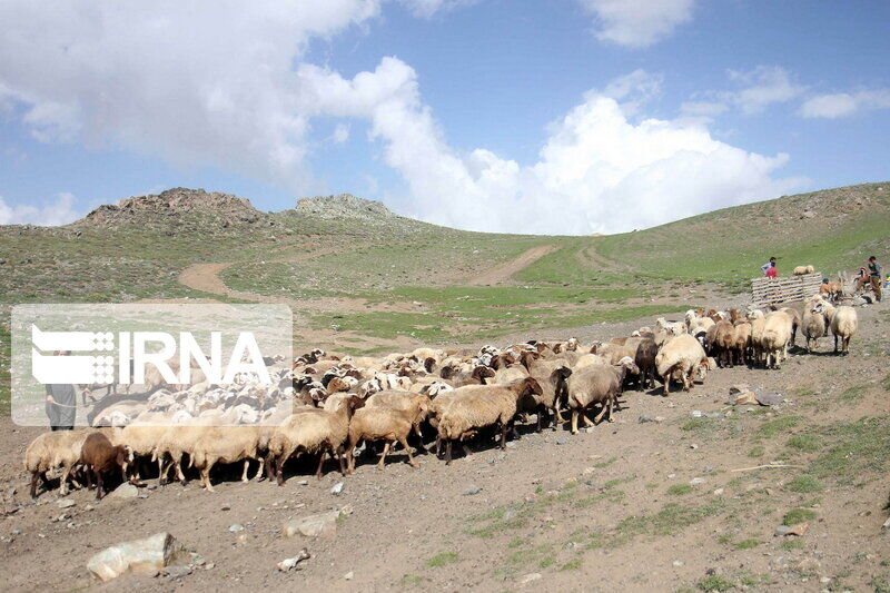 بارندگی به بخشی از عشایر چهارمحال و بختیاری خسارت زد