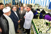 تولید مواد ضد عفونی کننده در خراسان جنوبی افزایش می‌یابد
