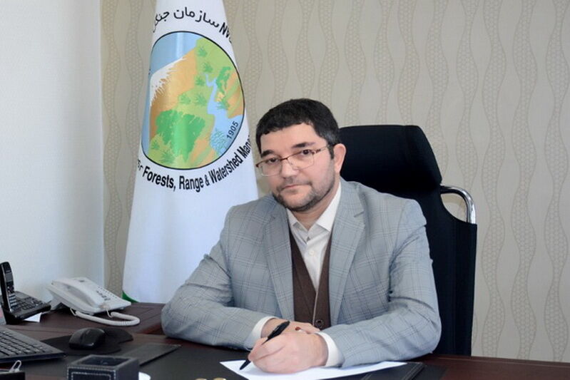 371 هزار و 800 نهال همزمان با هفته منابع طبیعی در آذربایجان‌شرقی کشت می‌شود