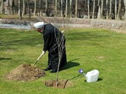 Con ocasión del Día Nacional de la Plantación de Árboles, el presidente Rohani planta un árbol


