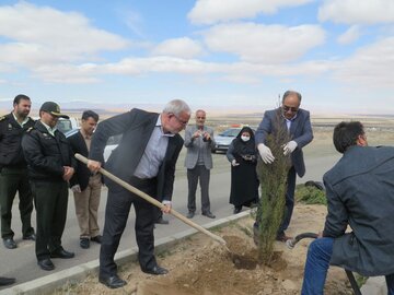 كاشت درخت در میامی به مناسبت هفته منابع طبیعی