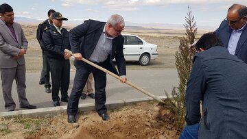 كاشت درخت در میامی به مناسبت هفته منابع طبیعی