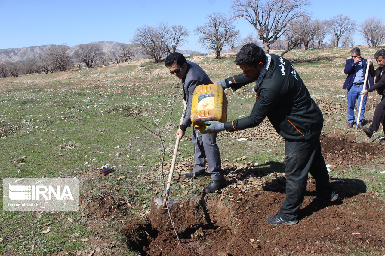 فیلم| کاشت درخت برای فردا؛ هم عهدی سبز مردم ایلام