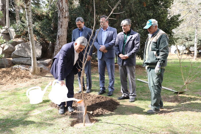 کاشت درخت در کشور تعطیل پذیر نیست