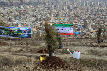 روز درختکاری در ارومیه