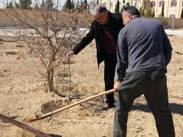 برگزاری آیین روز درختکاری در دامغان