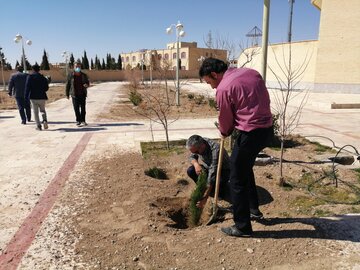 برگزاری آیین روز درختکاری در دامغان