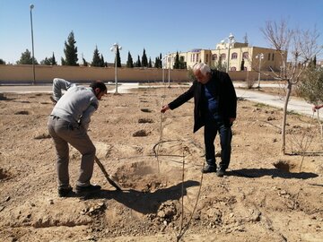 برگزاری آیین روز درختکاری در دامغان