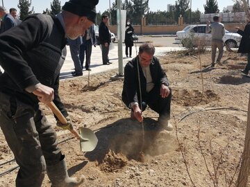 برگزاری آیین روز درختکاری در دامغان