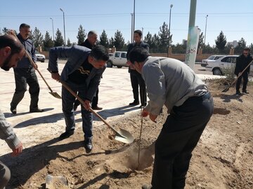 برگزاری آیین روز درختکاری در دامغان